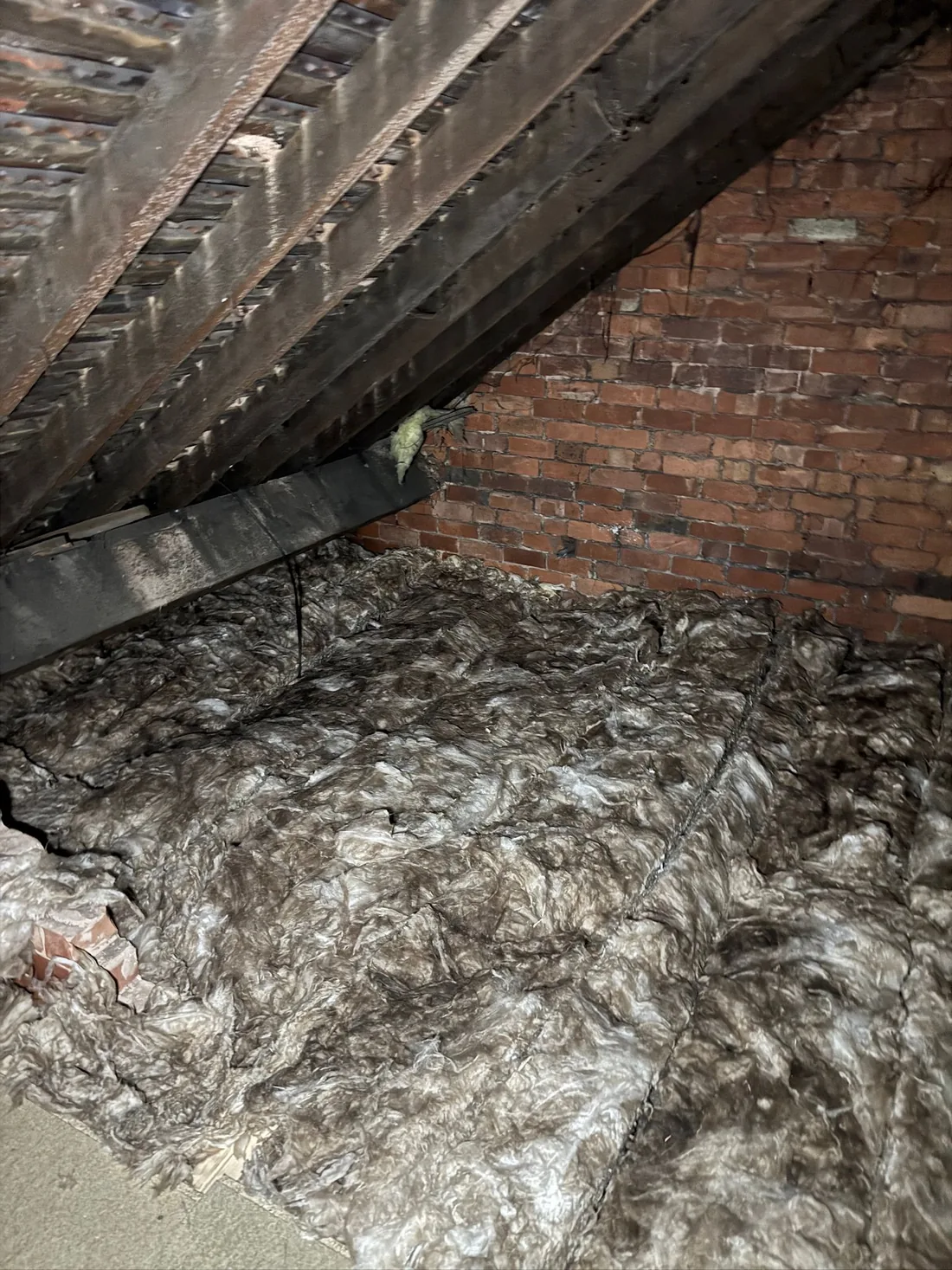 Older loft insulation before follow-on work.
